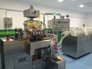 Máquina farmacéutica de la encapsulación de R y de D Softgel con S403 de pequeña capacidad