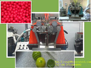 20 kilovatios de la maquinaria farmacéutica para el fabricante suave de la cápsula/la lubricación micro del aceite
