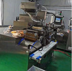 Servomotor automático Gran escala de producción de cápsulas de gel blando Máquina de varias formas de cápsulas de llenado de aceite