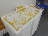 Máquina automática de la encapsulación de Vgel de la cápsula suave vegetal de la gelatina con el motor servo