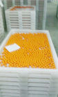 Alto material plástico anti del PE de las bandejas de la sequedad de Temprature para secar la hornada de congelación