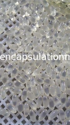 máquina farmacéutica de la fabricación de la cápsula de la máquina de rellenar de 3Kw Softgel