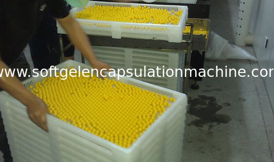 Bandejas de secado plásticas blancas de la categoría alimenticia para las cápsulas y Paintball de Softgel