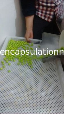 Máquina de rellenar de la cápsula automática llena eléctrica con la pantalla táctil grande del PLC del flujo de aire