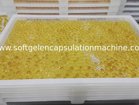 PPE plástico Tray For Drying Environmental Non-Toxic de 75 * de 55 * 5cm