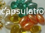 Máquina de prueba de la dureza de Softgel para la cápsula suave y la producción de la encapsulación de Paintball