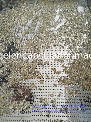 380V / máquina suave de la encapsulación de la gelatina 220V inconsútil con garantía de 1 año