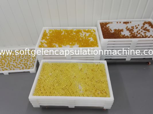 Categoría la sequedad farmacéutica de las bandejas de sequía plásticas para las cápsulas y Paintball de Softgel