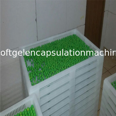 Softgel encapsula la temperatura alta de sequía plástica de las bandejas que lleva color modificado para requisitos particulares