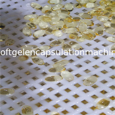 Máquina automática no animal de la encapsulación de Softgel Vgel para 50000 - 70000 cápsulas/H