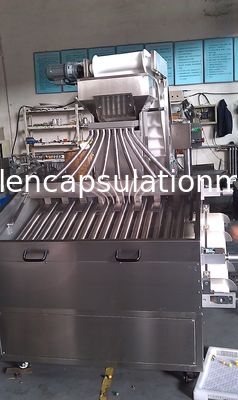 SUS de la clasificadora de la cápsula de Paintball/de Softgel/del clasificador 304 del tamaño para farmacéutico