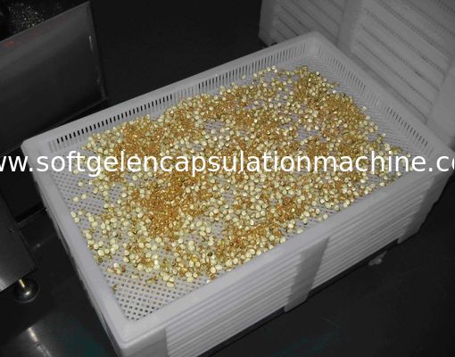 Categoría las bandejas de sequía plásticas para secar Paintball/Softgel/la cápsula con el certificado