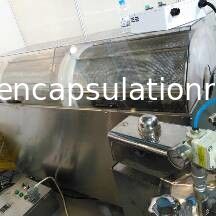 Cápsulas de acero inoxidables/H de la máquina 50000 - 70000 de la encapsulación 316 Softgel
