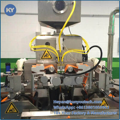 Las cápsulas de gelatina suaves S403 suavemente encapsulan la fabricación de la máquina CON el convoyer de acero de Stinless