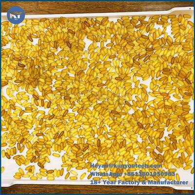 Categoría alimenticia de sequía plástica superficial lisa durable de las bandejas del PPE 75 * 55 * los 5cm