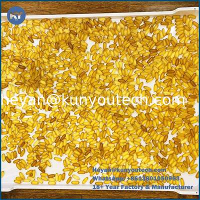 Bandeja de secado de plástico de fondo plano de material PP/ABS 758x608x40mm para secado de cápsulas