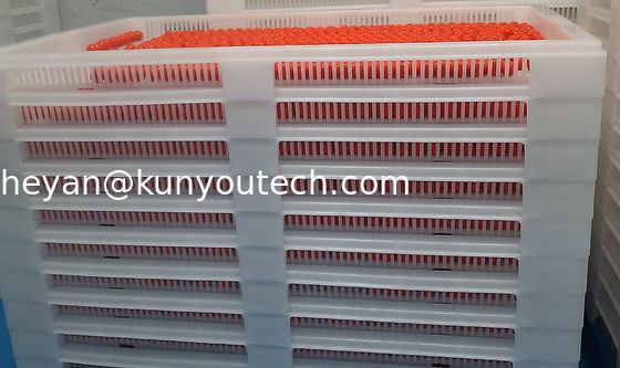 Bandejas plásticas apilables blancas de la categoría alimenticia/bandeja de enfriamiento 762*495*55m m