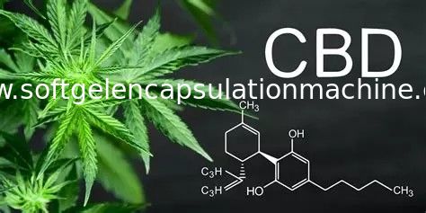 Uso automático del laboratorio de la máquina de la encapsulación de Softgel para el mercado de los E.E.U.U. del relleno del aceite de CBD
