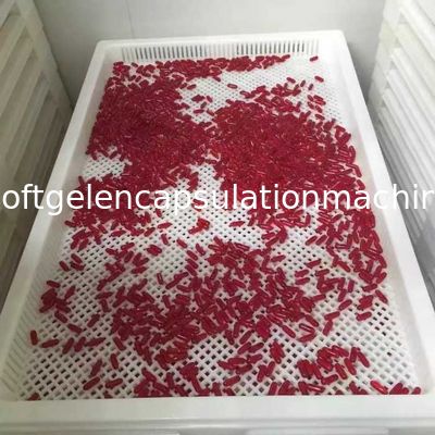 Softgel encapsula la temperatura alta plástica grande de las bandejas que lleva diverso color