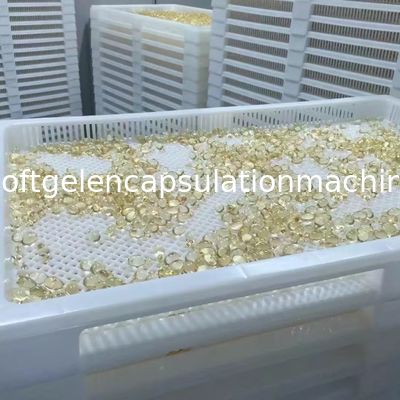 Tipo cadena del rollo S403 de producción automática de la cápsula de la máquina suave de Paintball rollo del dado de 4 pulgadas