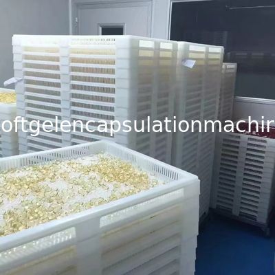 Bandejas de sequía plásticas del diverso color y material 75 * 55 * los 5cm del PPE de la categoría alimenticia de la carretilla