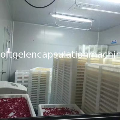 Pequeña cadena de producción de máquina de la encapsulación de Softgel para hacer la cápsula suave S403
