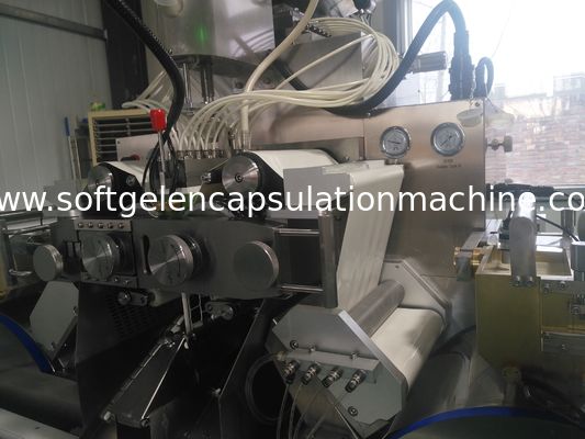 Garantía farmacéutica de fabricación de 1 año de la máquina de la cápsula del control del PLC