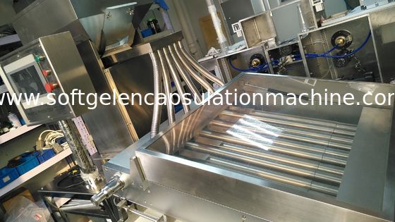 máquina farmacéutica de la cápsula de Softgel de 10 pulgadas para el aceite de pescado Softgel 120000 PC/H