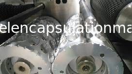 Los moldes de las piezas de la cuña de la inyección/de la máquina de rellenar de la cápsula de Softgel mueren cuña de los útiles del rollo