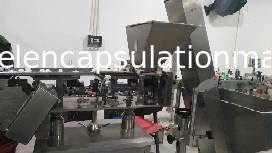 Empaquetadora de la vibración de la empaquetadora de cuenta y de la cápsula de la tableta de la botella multi de la placa