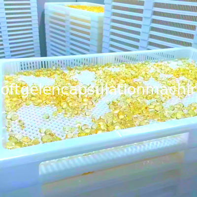 Cápsula 10000 por la máquina automática de la encapsulación de Vgel de la hora