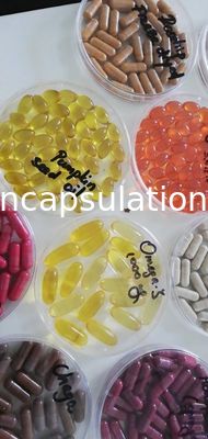 Molde suave 50000pcs/H de la cápsula de la encapsulación 103x152 de la gelatina