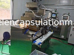 6RPM Máquina de encapsulación de gel blando con aceite de pescado y pasta de llenado 120000 pcs/h