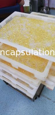 Máquina suave de la cápsula de gelatina de la encapsulación médica para el relleno del aceite de pescado