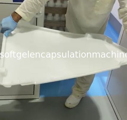 Bandejas de secado plásticas del PPE ISO9001 75 * 55 * 5cm para el caramelo de la cápsula