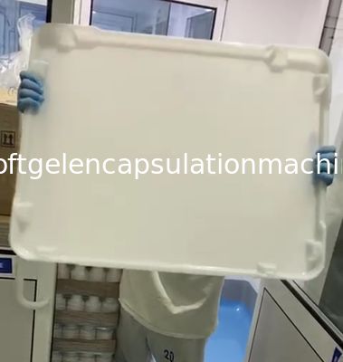 Bandejas plásticas inferiores planas de la sequedad del Ppe 75 * 55 * 5cm para el caramelo de la cápsula