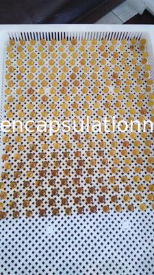 Pulsant que corta la máquina inconsútil de Softgel