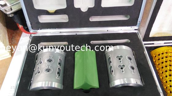 Los pescados forman el molde de fabricación de la cápsula del rollo del dado para 10