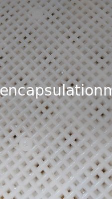 Categoría las bandejas plásticas grandes para secar Paintball/Softgel/la cápsula con el certificado