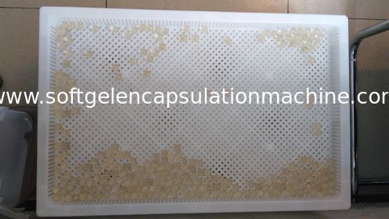 Categoría las bandejas plásticas grandes para secar Paintball/Softgel/la cápsula con el certificado
