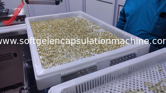 Control del Plc de la máquina de la encapsulación del certificado 5rpm Softgel del CE