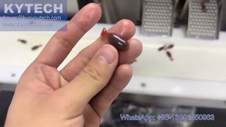 Máquina de encapsulación de gel blando servo en forma de pez